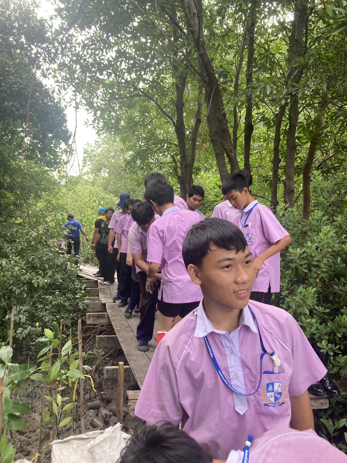Activity Image