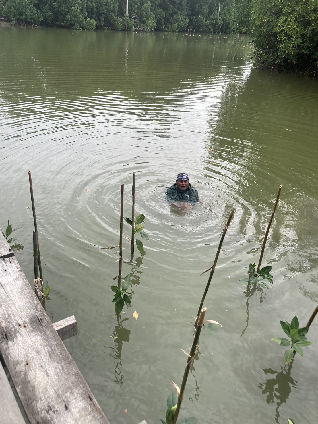 Activity Image